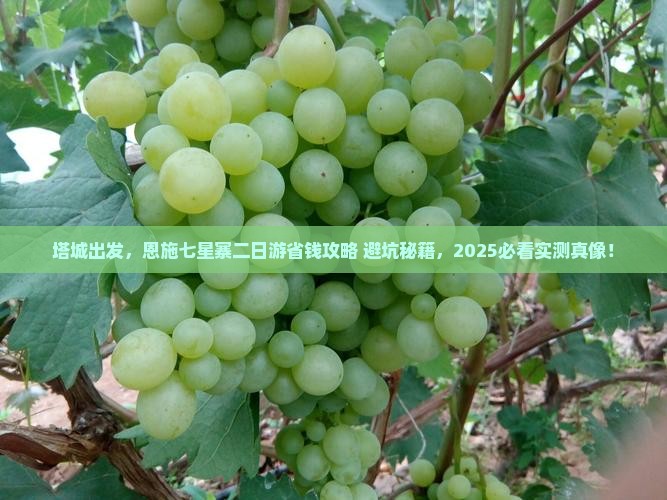 塔城到恩施七星寨二日游