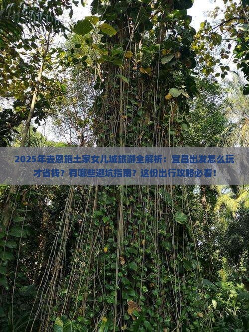宜昌去恩施土家女儿城旅行社