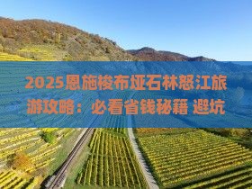 怒江去恩施梭布垭石林旅游