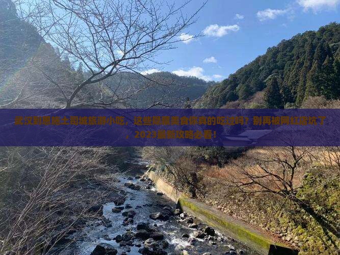 武汉到恩施土司城旅游小吃
