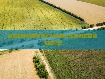 枣庄到恩施梭布垭石林哪里玩