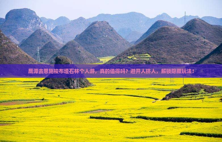 鹰潭去恩施梭布垭石林个人游