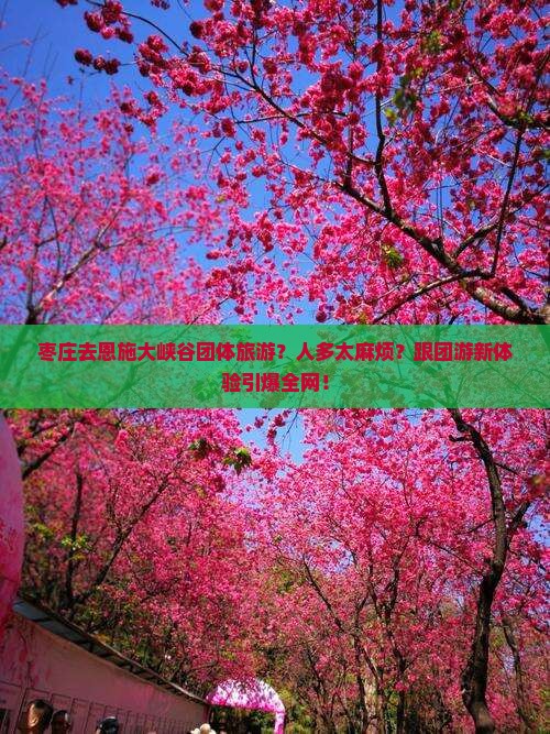 枣庄去恩施大峡谷团体旅游