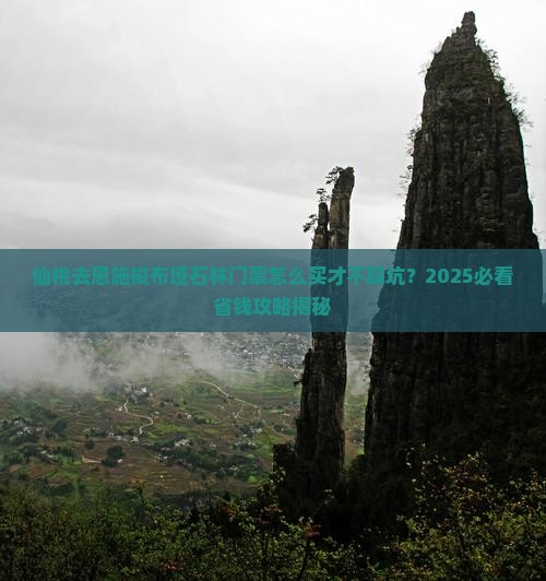 仙桃去恩施梭布垭石林门票