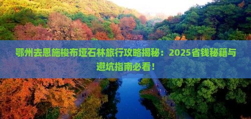 鄂州去恩施梭布垭石林旅行社