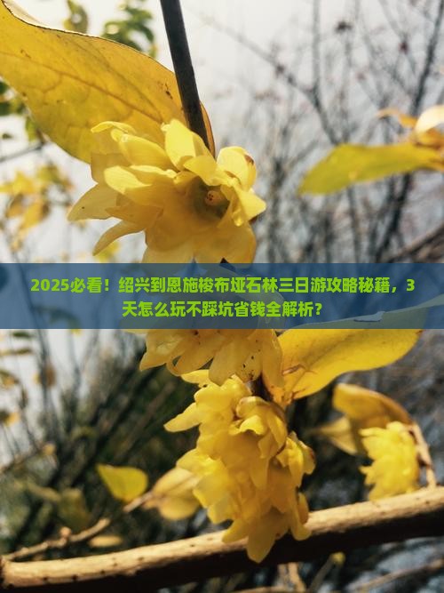 绍兴到恩施梭布垭石林三日游