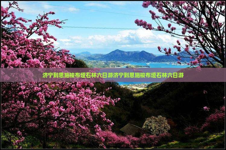 济宁到恩施梭布垭石林六日游