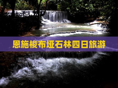 一月到恩施梭布垭石林四日游
