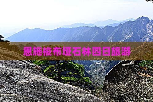 一月到恩施梭布垭石林四日游
