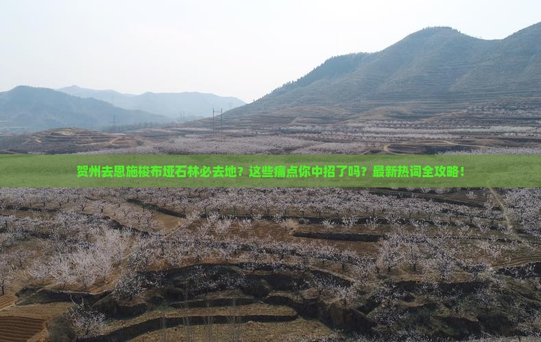 贺州去恩施梭布垭石林必去地