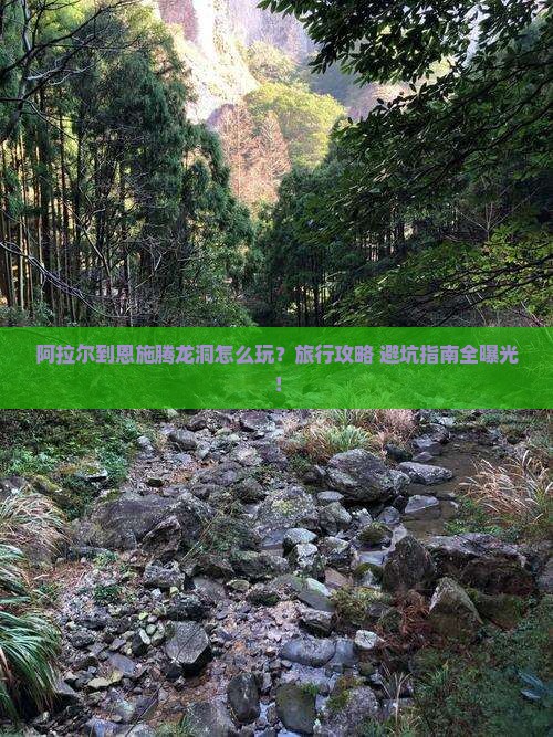 阿拉尔到恩施腾龙洞旅行社
