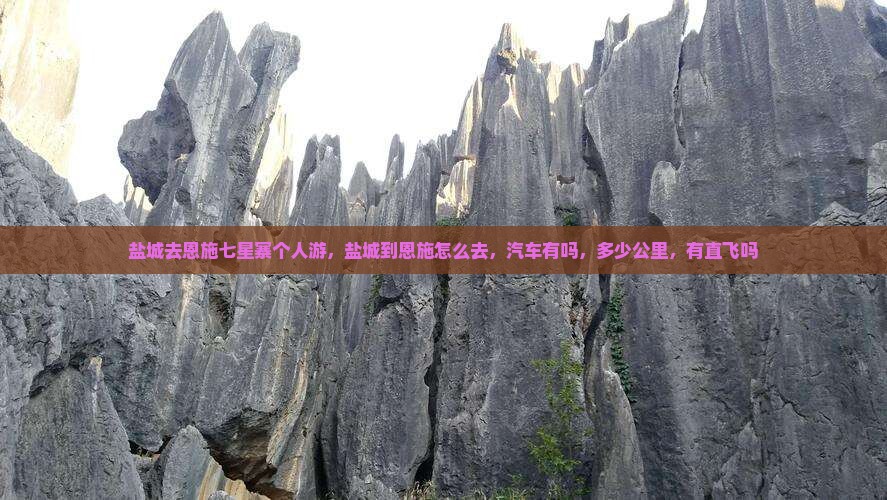 盐城去恩施七星寨个人游
