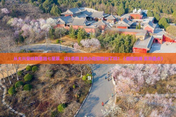大兴安岭到恩施七星寨旅游小吃