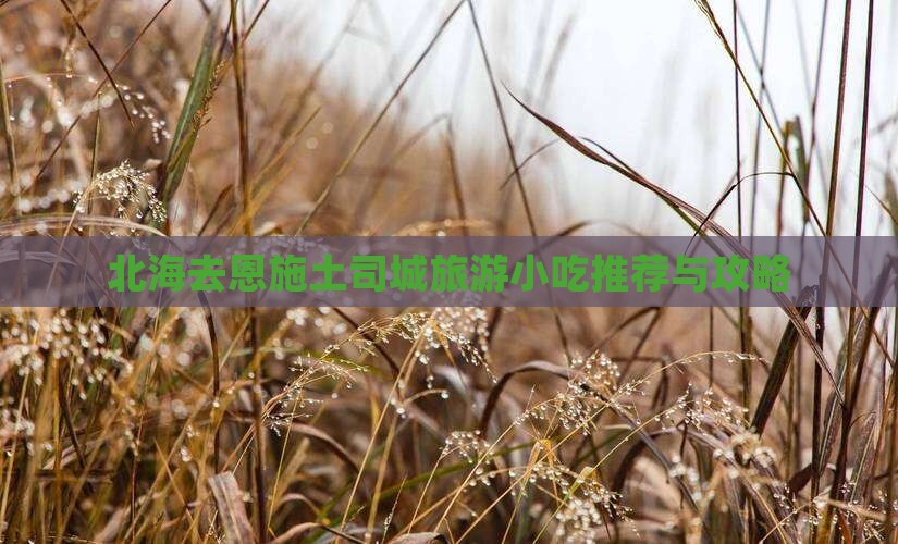 北海去恩施土司城旅游小吃