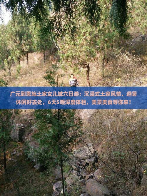 广元到恩施土家女儿城六日游