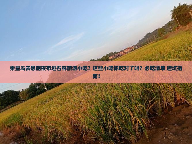 秦皇岛去恩施梭布垭石林旅游小吃
