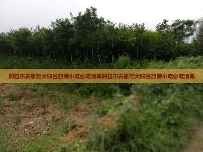 阿拉尔去恩施大峡谷旅游小吃