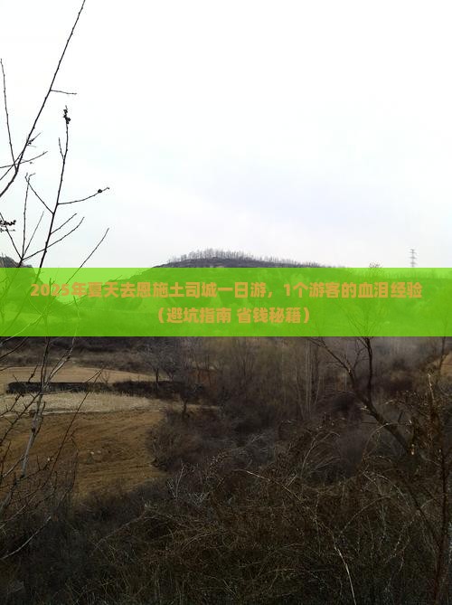 夏天去恩施土司城一日