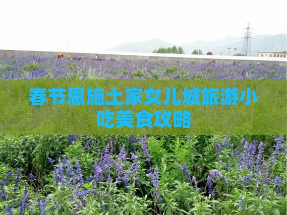 春节去恩施土家女儿城旅游小吃