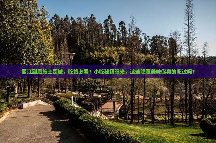 丽江到恩施土司城旅游小吃