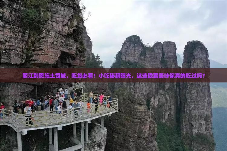 丽江到恩施土司城旅游小吃