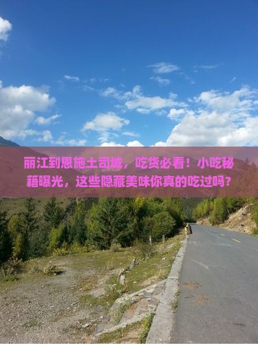丽江到恩施土司城旅游小吃