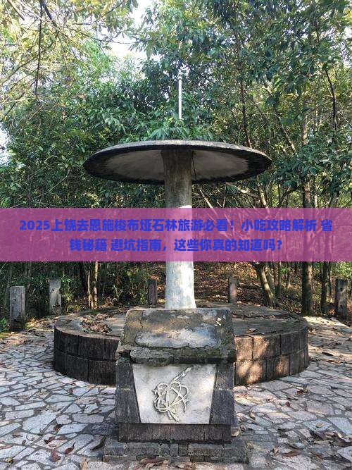 上饶去恩施梭布垭石林旅游小吃