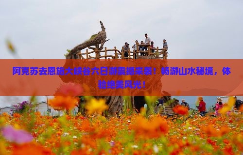 阿克苏去恩施大峡谷六日游
