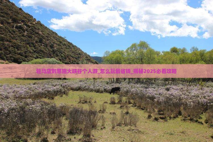 驻马店到恩施大峡谷个人游