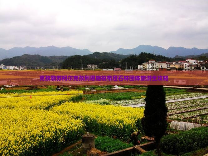 克孜勒苏柯尔克孜到恩施梭布垭石林团体旅游