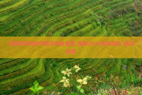 昌都到恩施梭布垭石林自由团
