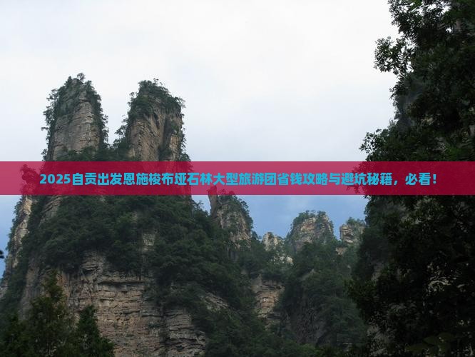 自贡到恩施梭布垭石林大型旅游团