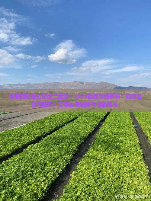 抚顺到恩施土司城二日游