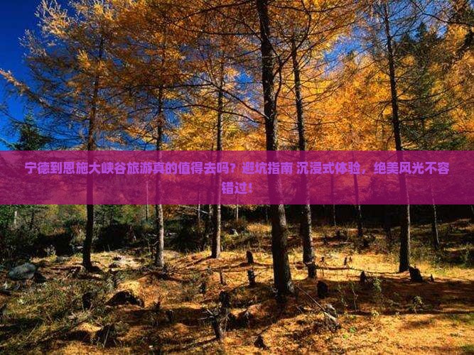宁德到恩施大峡谷旅游