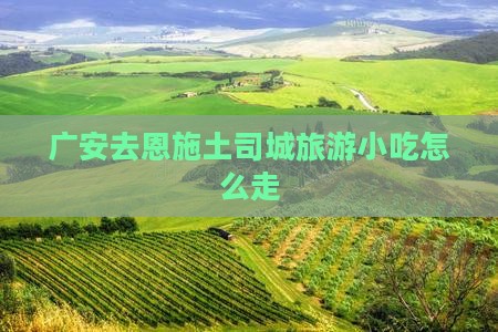 广安去恩施土司城旅游小吃