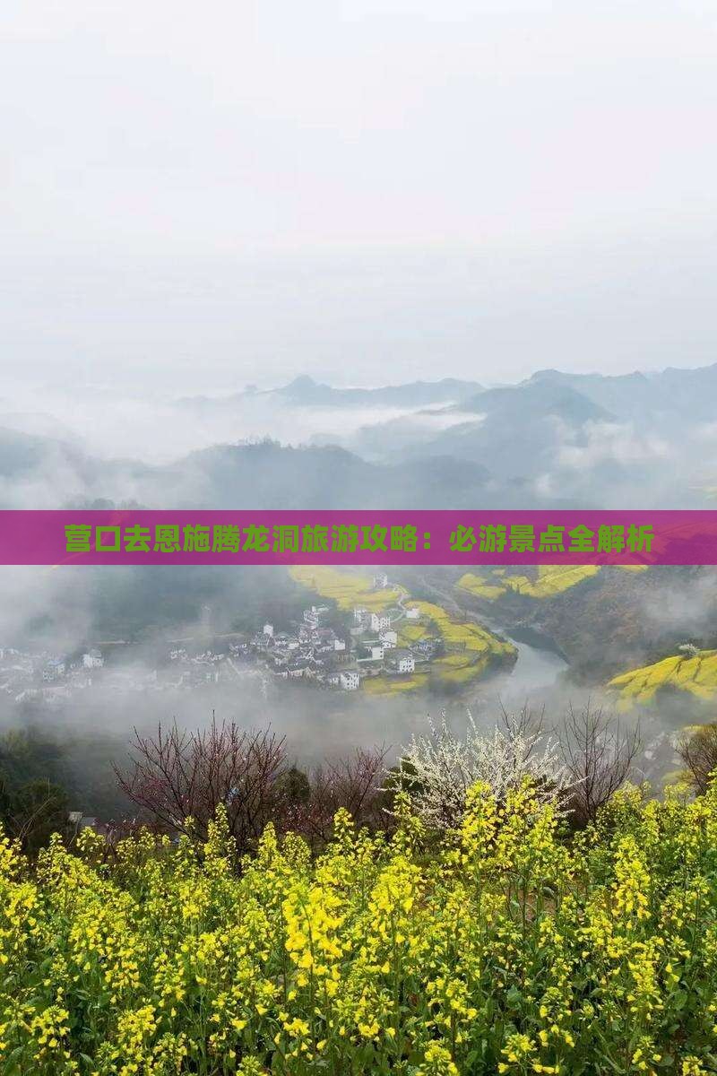 营口去恩施腾龙洞旅游