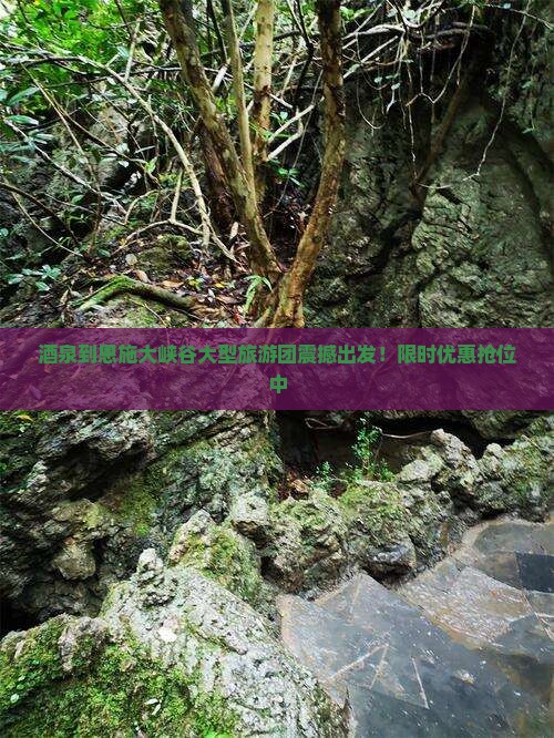 酒泉到恩施大峡谷大型旅游团