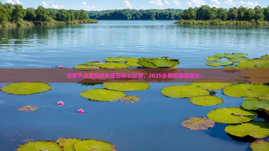 张家界去恩施梭布垭石林七日游