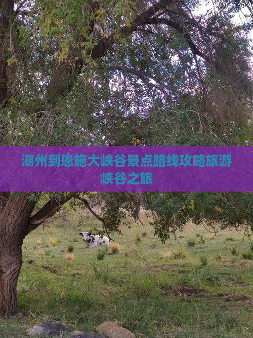湖州到恩施大峡谷景点