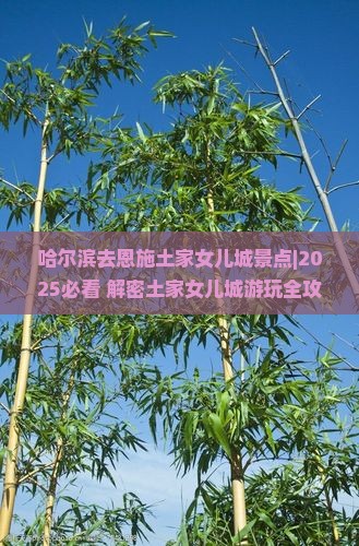 哈尔滨去恩施土家女儿城景点