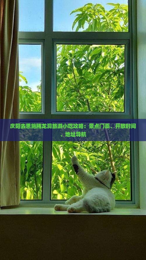 庆阳去恩施腾龙洞旅游小吃 庆阳去恩施腾龙洞旅游小吃