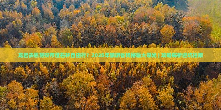 龙岩去恩施梭布垭石林自由行