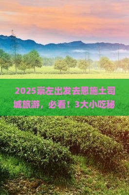 崇左去恩施土司城旅游小吃