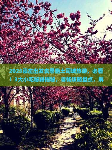 崇左去恩施土司城旅游小吃
