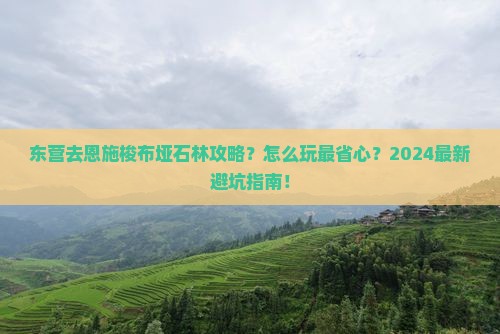 东营去恩施梭布垭石林攻略