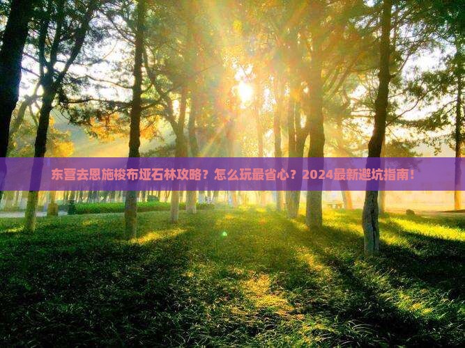 东营去恩施梭布垭石林攻略
