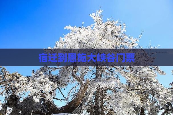 宿迁到恩施大峡谷门票