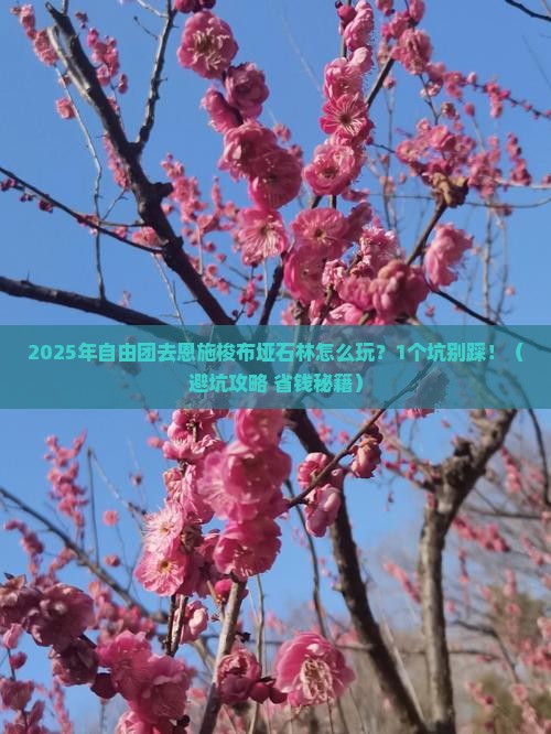 昭通去恩施梭布垭石林自由团