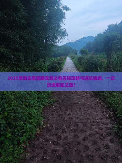 鹰潭去恩施腾龙洞旅行社