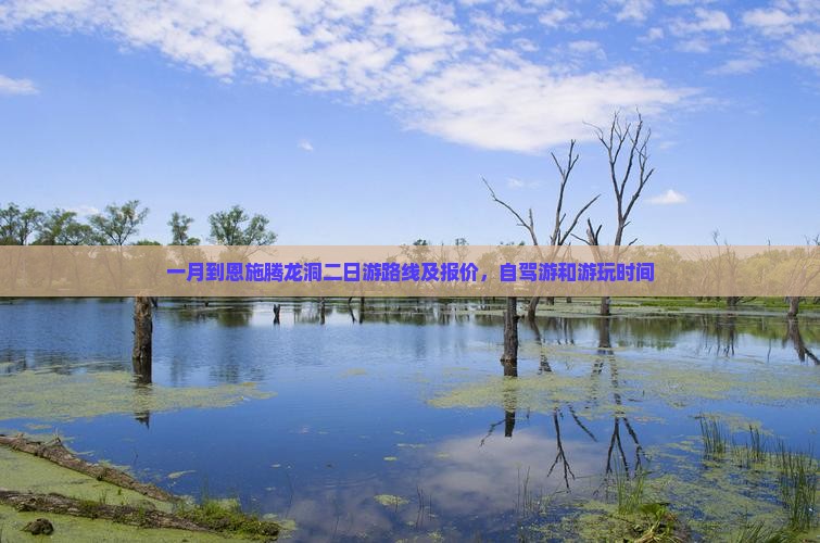 一月到恩施腾龙洞二日游